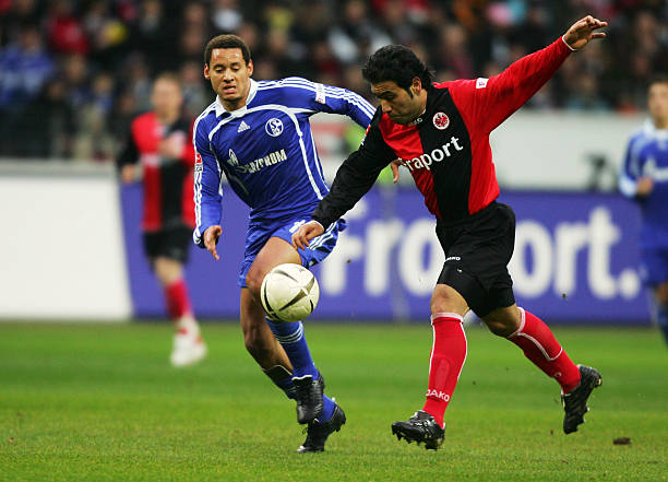 名单正式出 名单正式出